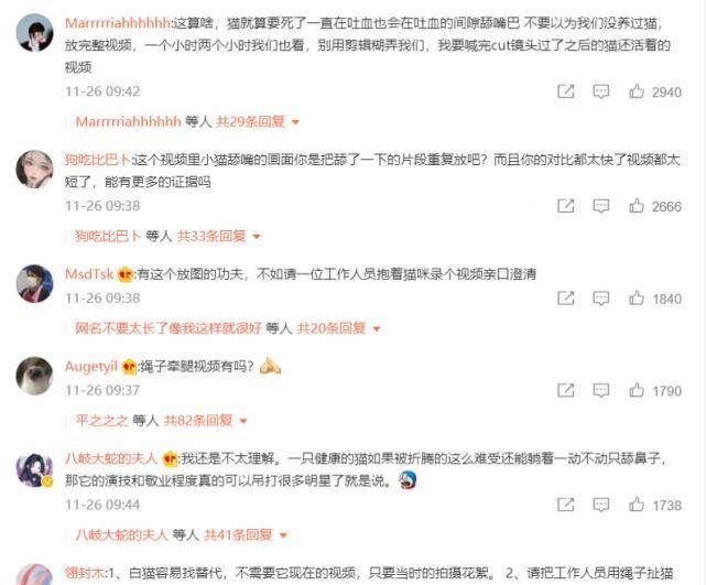 白猫|《当家主母》小白猫惨死，剧组发声明回应，网友为何却不认同？