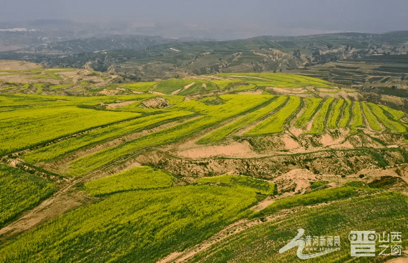 乡村|2021，山西关键词——老乡