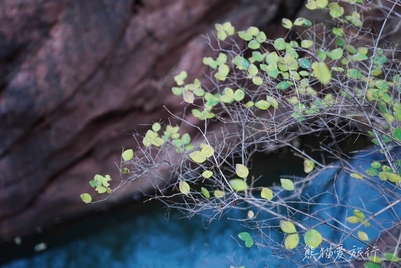 景区|郑州周边宝藏度假地，世界级旅游目的地伏羲山，网红项目玩不停