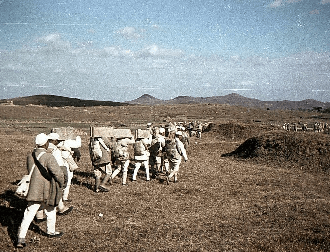 原创1952年南日岛战役叶飞因轻敌再次败给胡琏800余人被俘到台湾