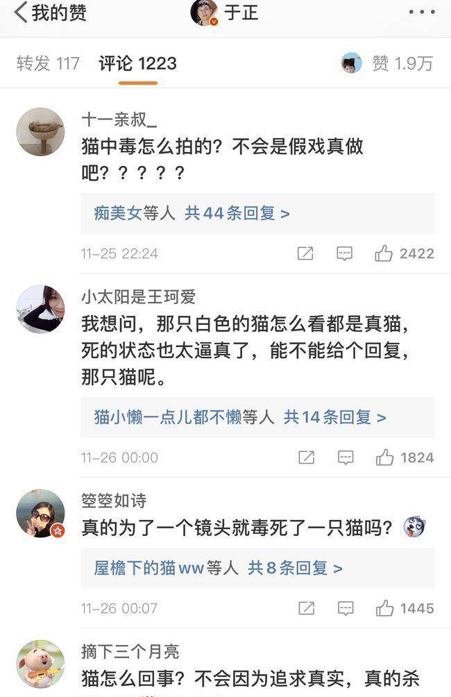 白猫|《当家主母》猫的演技都这么到位了吗，抽搐动作逼真