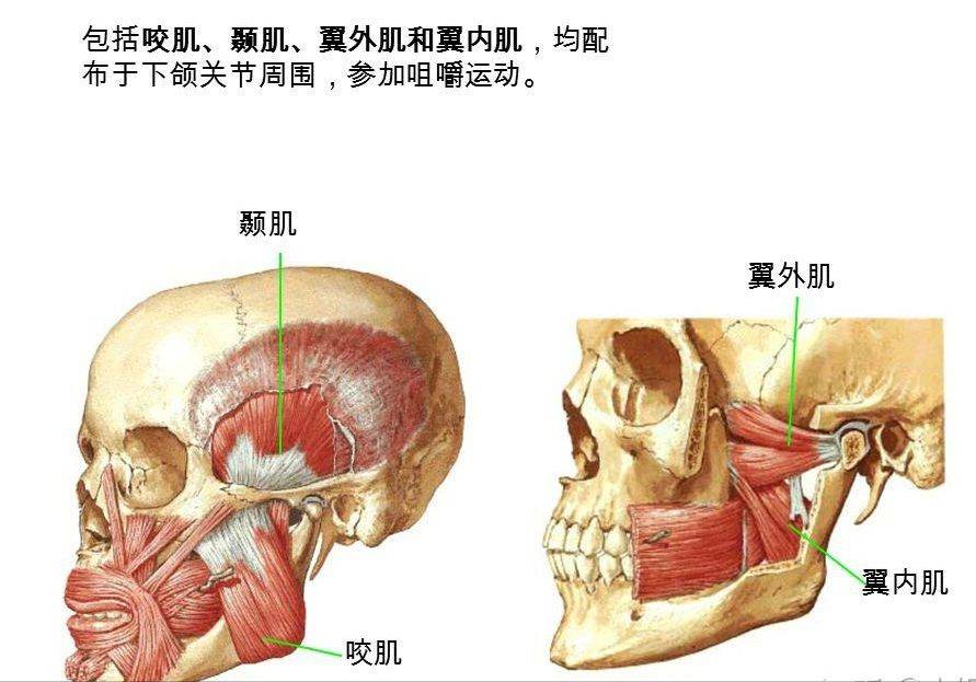 新垣结衣宅男女神新垣结衣元气不再，胶原满满的脸蛋变成不流畅的牙套脸？