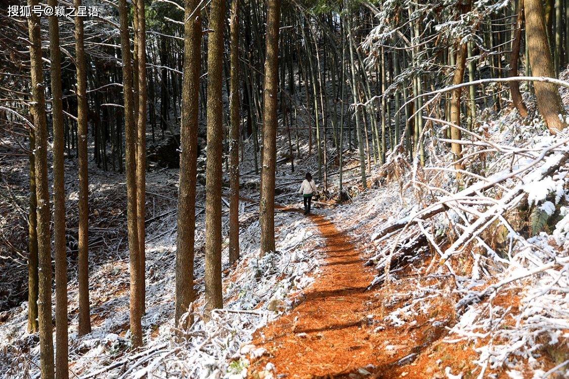 避而远之去赏雪，意外闯入童话路，现实版白雪公主