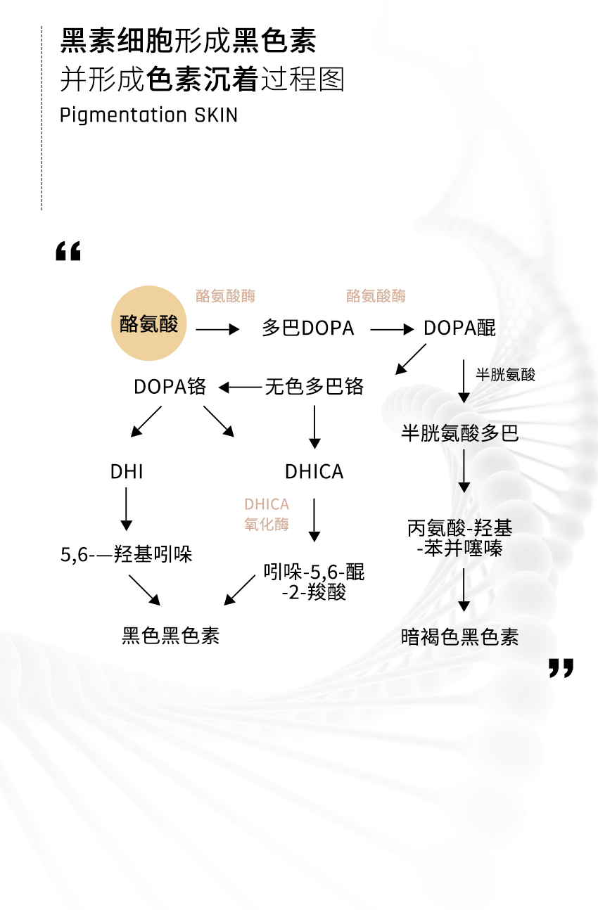 雀斑《水初语莹莹护肤课堂》“老师，斑点一直不消怎么办？”