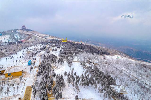 伏羲山|被冰雪装扮的云上牧场美成童话世界 郑州人冬日游玩嗨翻天