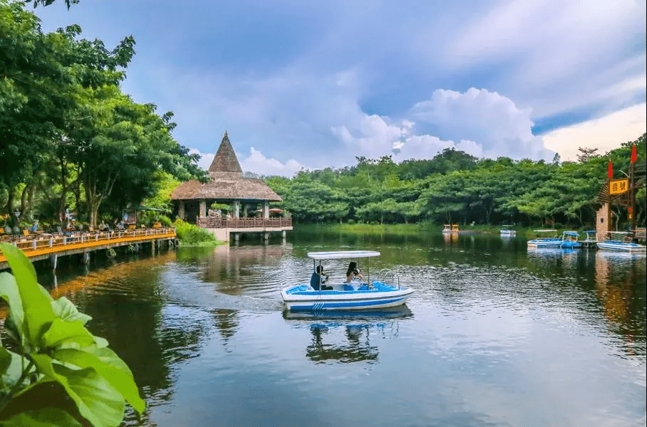 13637523485最精緻的咖啡——興隆隆苑咖啡莊園興隆隆苑咖啡莊園,海南