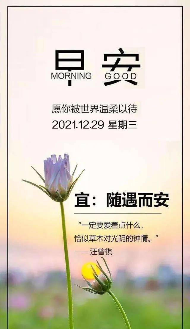eb72de983553449ba76ddd4cc8b850af.jpeg