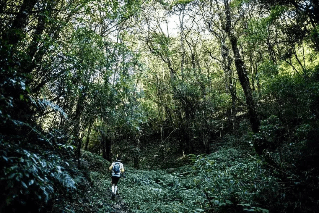 遗址|【国家AA级景区】腾冲芒棒高黎贡山古道公园景区