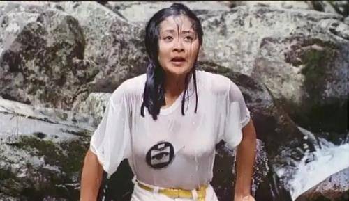 武侠片|我的观影史：从文艺小清新变成重口味！