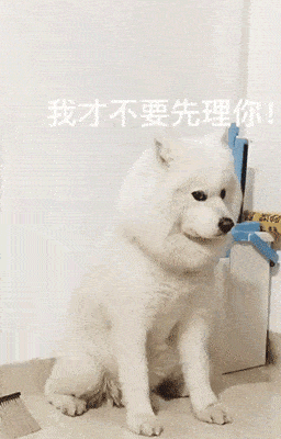 主人|别逃避了!狗狗对你有这些行为，是真的讨厌你了!