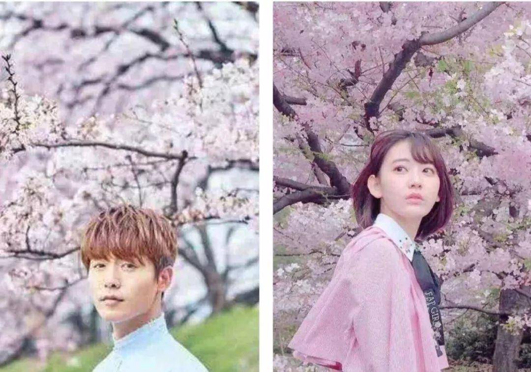 主体同样的春日与花合影，为什么刘亦菲是仙子而杨幂是网红？