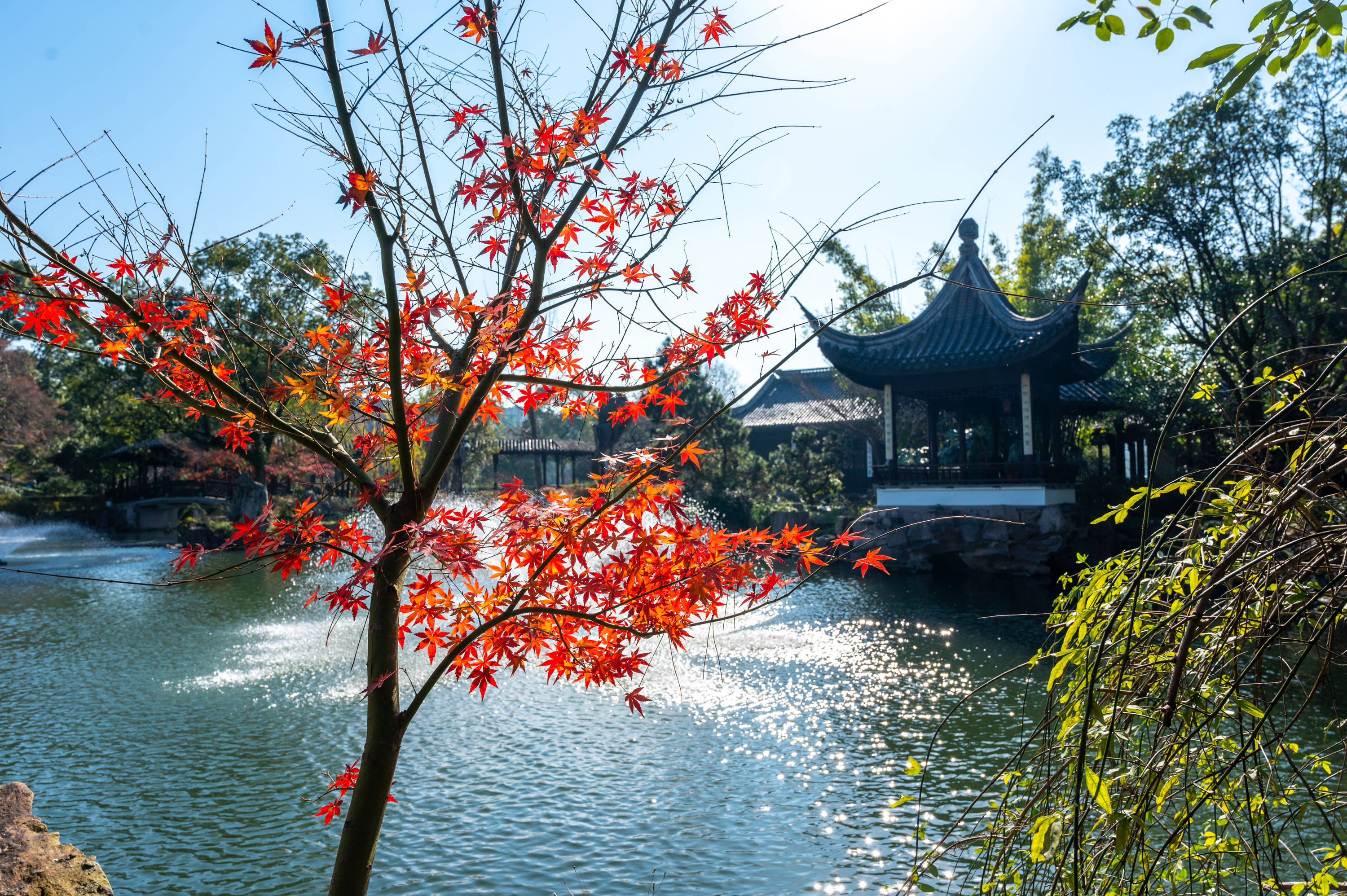 江南好|临海旅游不可错过的景点，清代诗人称赞为“小西湖”，景色秀美