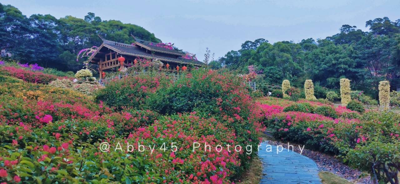 历史|春运火车票明日开售，高铁游福建，顺道赏沿途风景可以这么玩