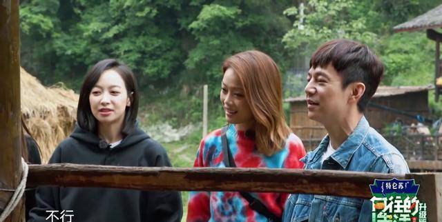 生活|《向往的生活》粉丝不要慌，像第七期这样的逆天阵容后面还有一次