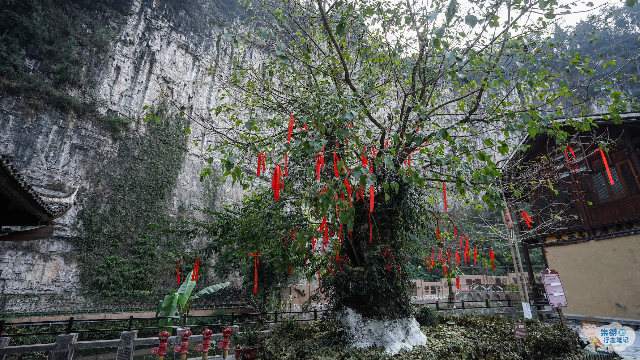 风景区|湖北三峡地区唯一的民俗区 有中国首家水车博物馆 是新三峡十景之一