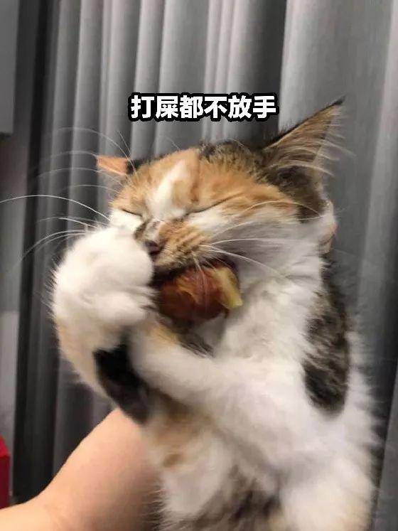 怎么拥有千里眼 2d02a3d4c7e640bc9346fc4e7df2cf3e.jpeg