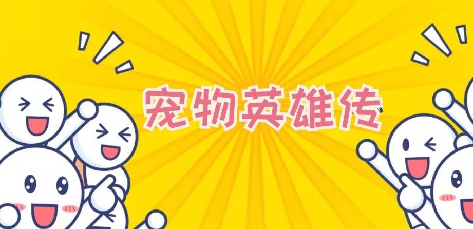 母则刚宠主大测试，看看你适合养什么样的狗狗，不然选错了可别后悔