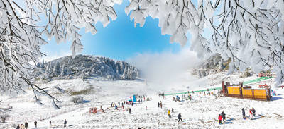 雪花|“雪花”开 迎客来