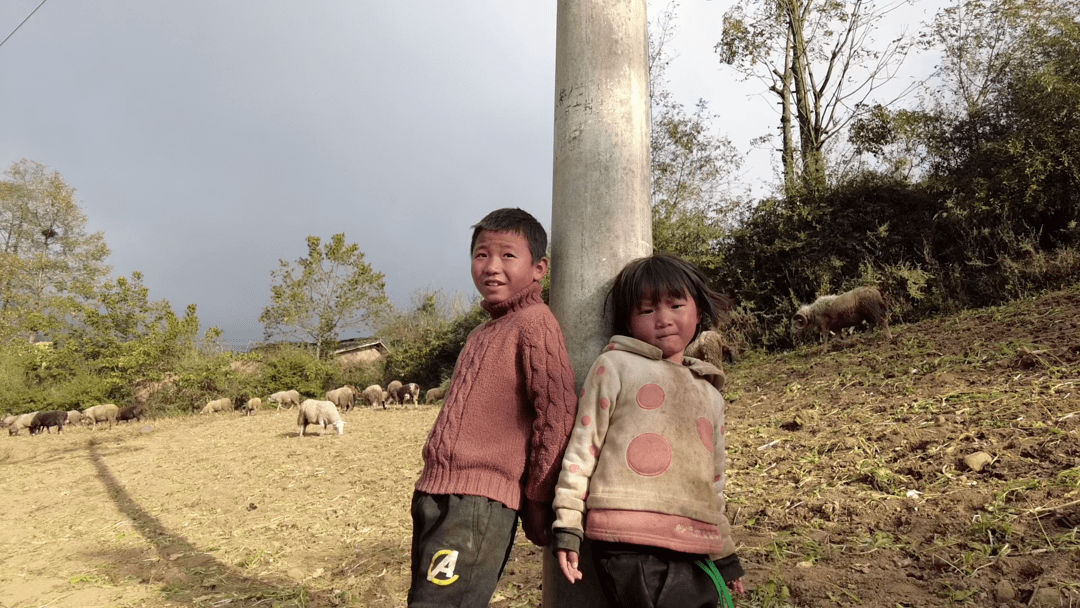 反馈|【爱心反馈】志愿者为孩子们送去了好吃的零食