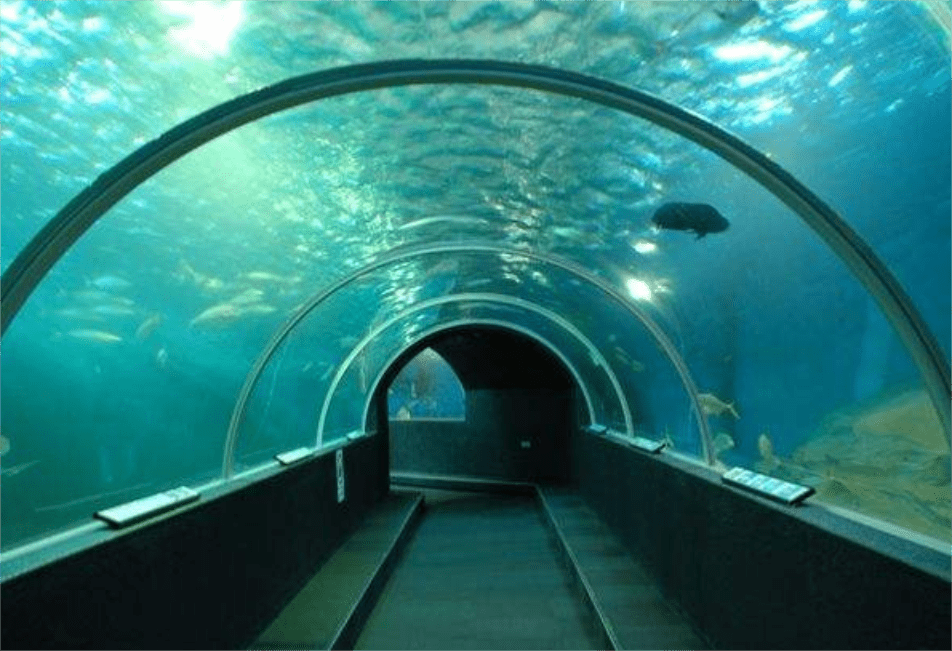 海里全是水，海底隧道是怎样修建的？看完感叹：工程太伟大了