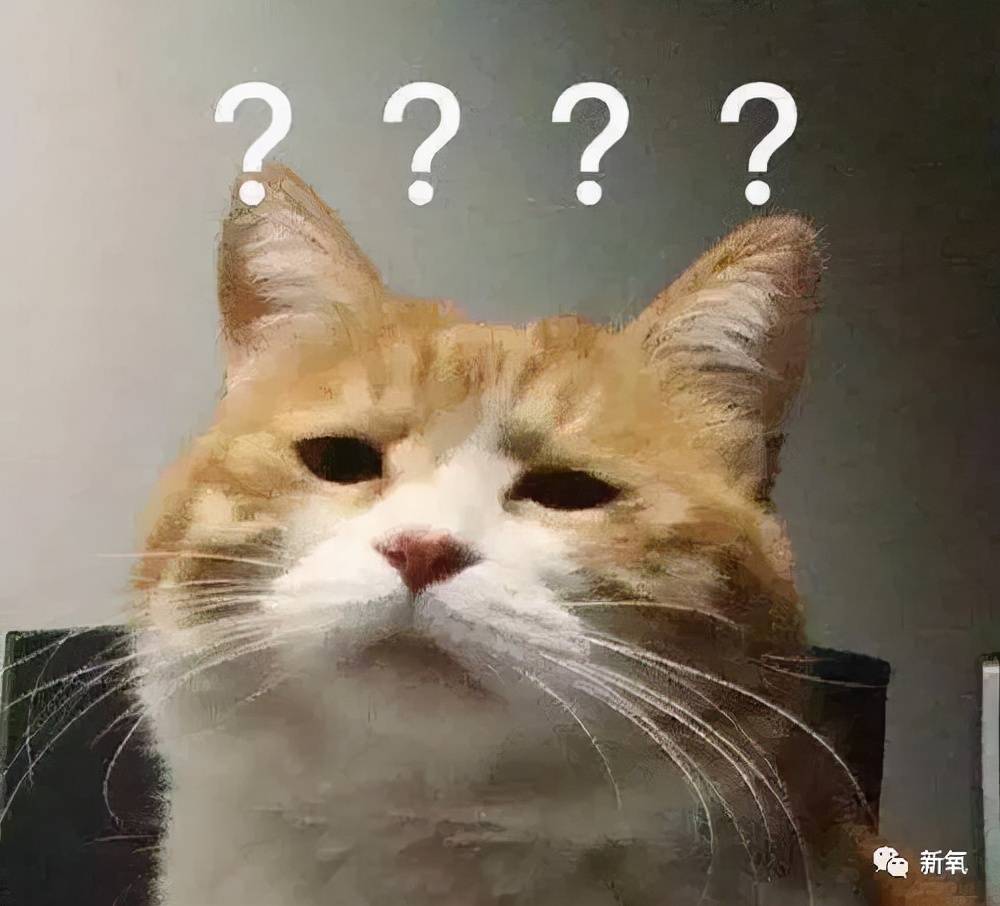预算预算不过万，我是怎么送粉丝出道的？