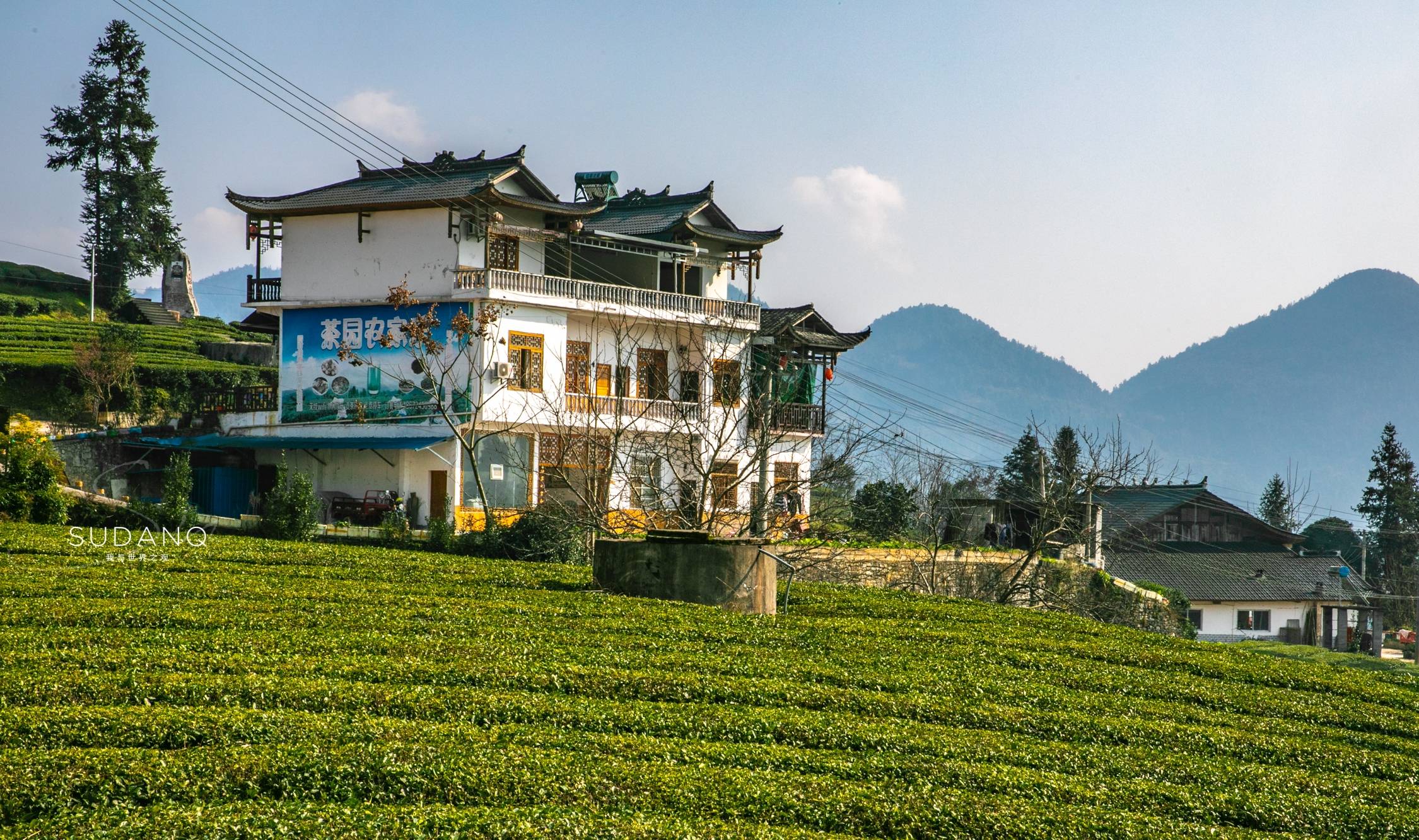 300多年前，乾隆皇帝爱上了湖北绿茶：鲜为人知的皇家贡茶园