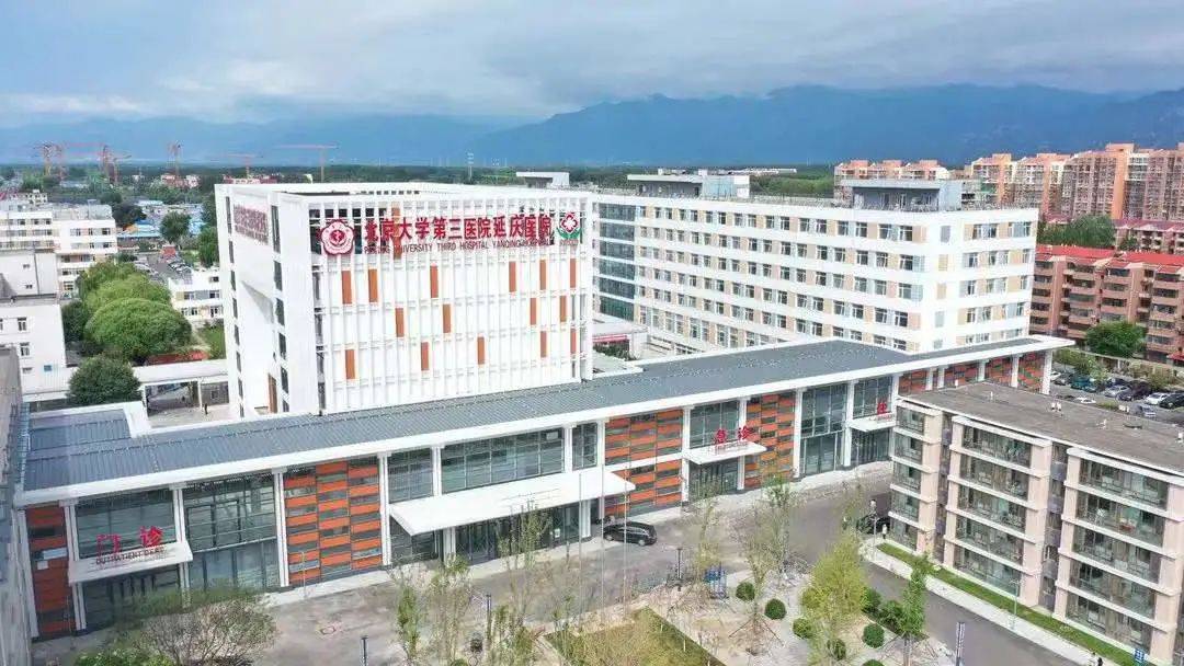 延庆赛区医疗卫生保障组发出响亮誓师"动员令"_工作_防疫_北京