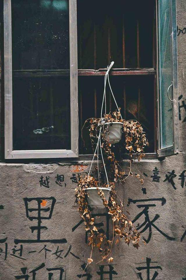 原创             怀旧型网红拍照圣地，成都胡同里的“小香港”，体验旧时老成都