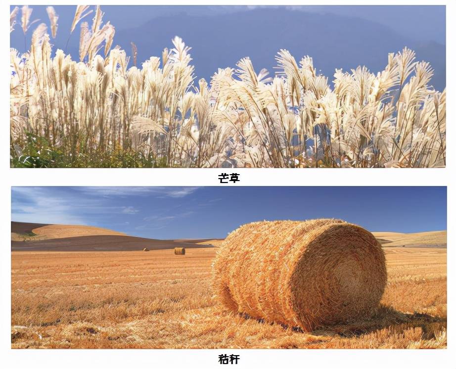 塑料|「以高质量论英雄」生物质新材料：为实现“双碳”目标提供山西方案