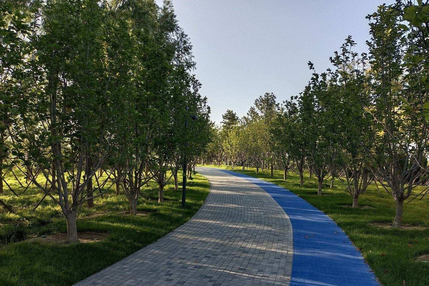 温榆河公园沙子营湿地西园，京城东北方向未来最大的绿色空间