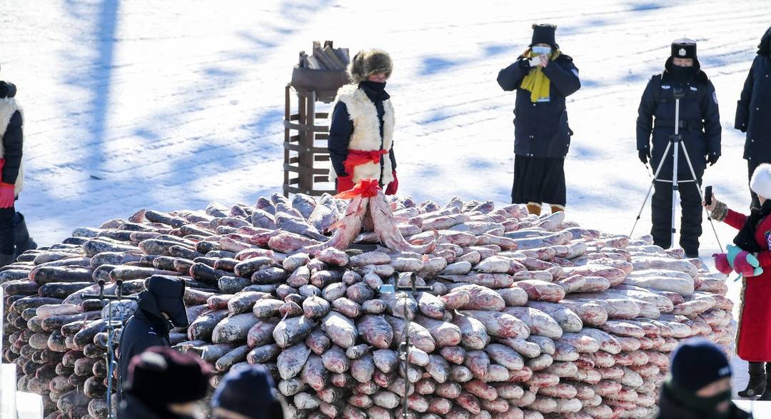 洗澡鱼？查干湖“头鱼”拍出296万天价，胖头鱼为何越捕越多！