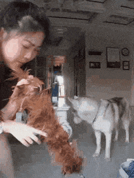 卫生纸|搞笑GIF趣图:你看着谁的老公,一天不骚一下,皮就痒痒