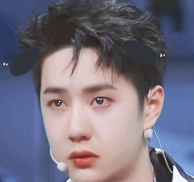 双男|王一博和肖战是因为耽改才红的么?或许我们应客观评价此题材作品