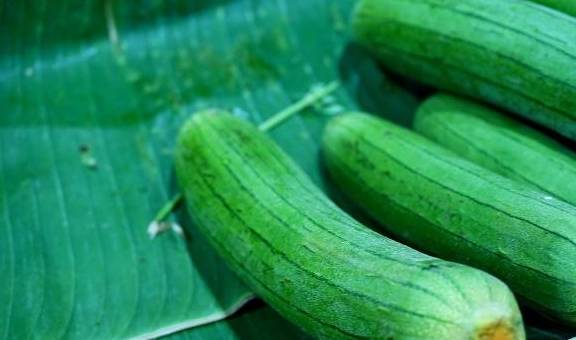 什么时间种丝瓜结得多 eb99269d83964b8f838f8ef0ec365896.jpeg