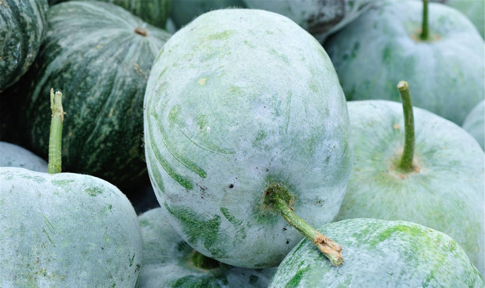 脂肪酸|哪些零食被称为“催胖神器”?想要减肥的人,忍住就是有道理