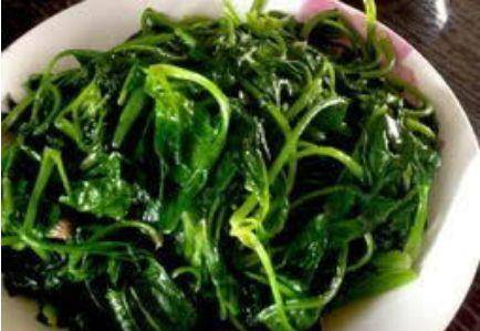 菠菜是什么季节都能种吗 0bf1f494949946cc9cf2ca466976fd91.jpeg