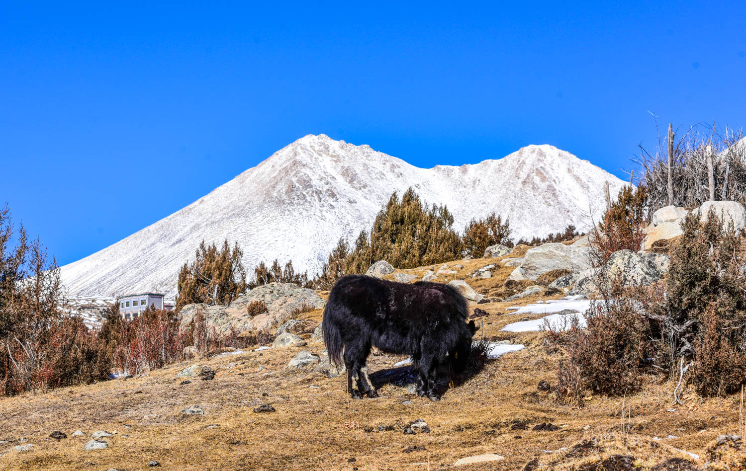 雪山|西藏昌都自驾游第14天：翻越雪山与结冰路，遇见世外桃源般的巴堆