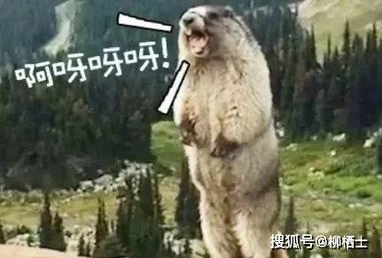 我掏心窝子讲的人生道理，怎么就成了孩子眼里的“废话”？！