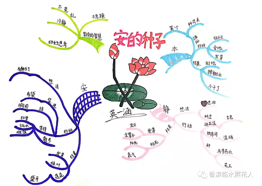 推荐思维导图汤老师的话:有幸看到《安的种子》的人们,我希望你们能读