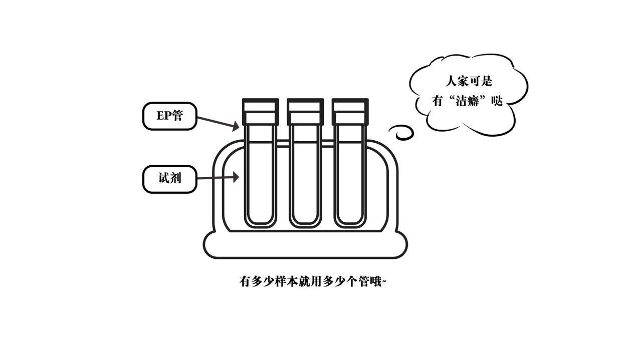 检测|一张核酸检测报告是这样出炉的！