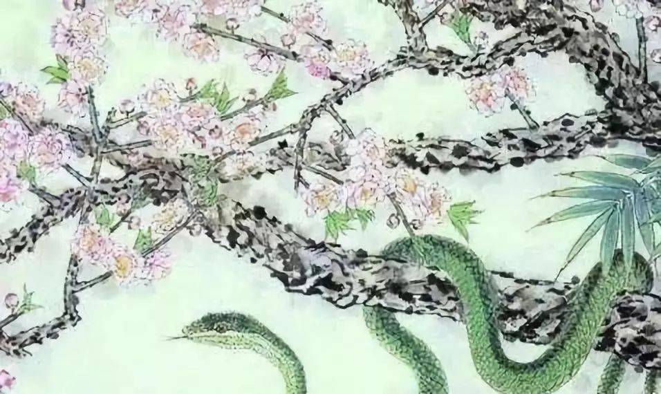 蛇是什么神仙下凡 8ee6056907004983a991930be3c1a27c.jpeg