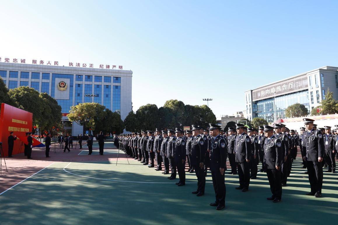 大都会警察部队图片