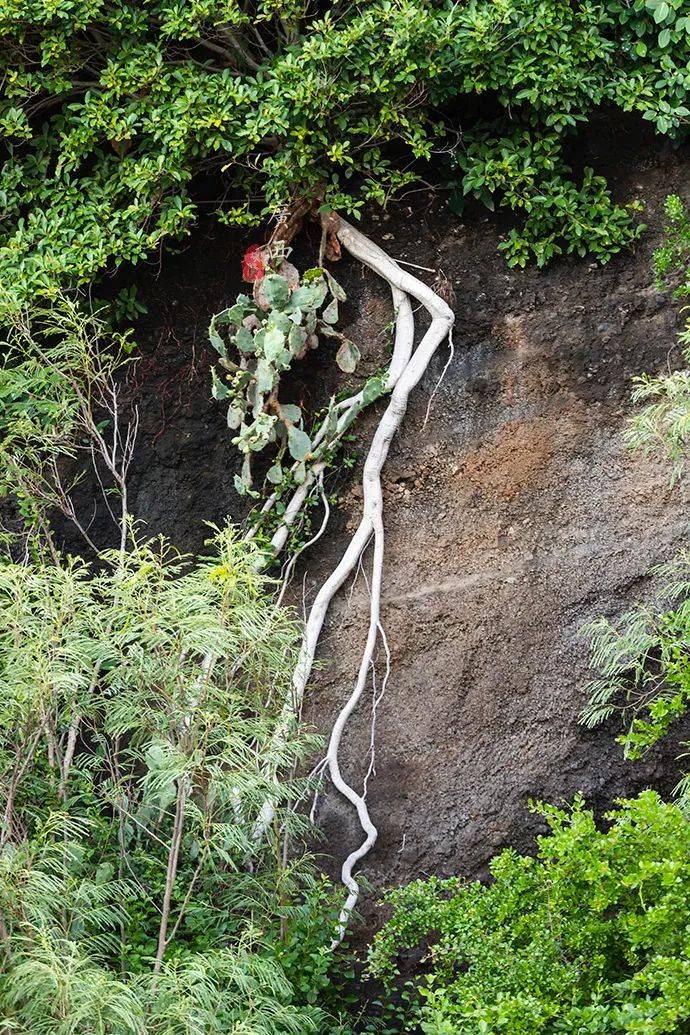 火山岛|中国最大最年轻的火山岛，月薪1500元就能玩转？