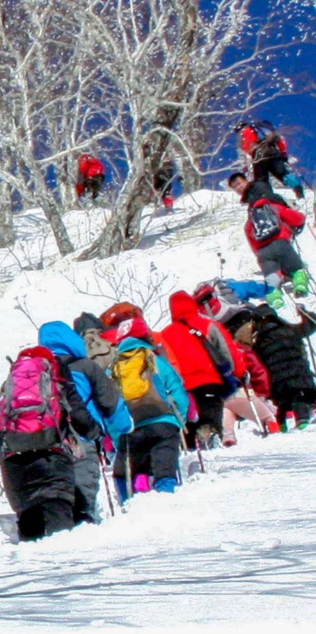 景区|太火爆！这场冰雪嘉年华玩嗨了……