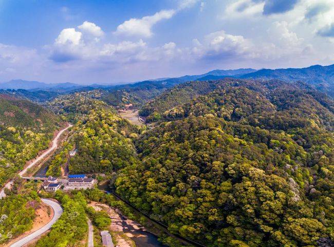 美图绿韵归化魅力胡坊