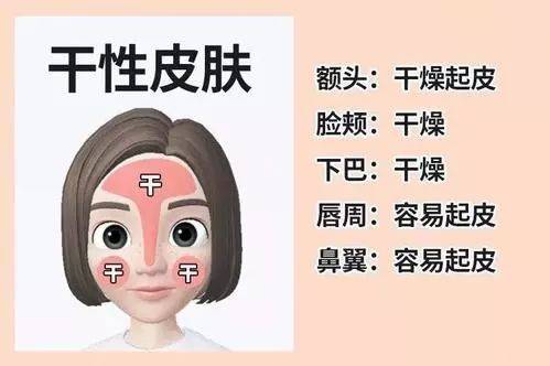 什么新手应该如何护肤？了解自己是什么肤质很重要！