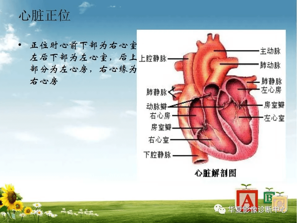 169ebff54cfe49c0b0bf6a4fec21d172.png