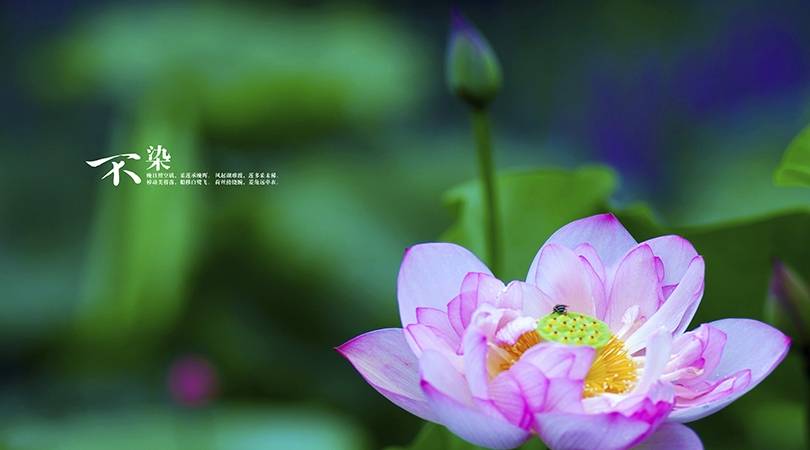 5ddf2a1315e84d48987c593f301cb58a.jpeg
