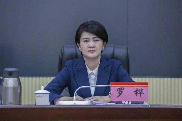 陵水召开党史学习教育总结大会