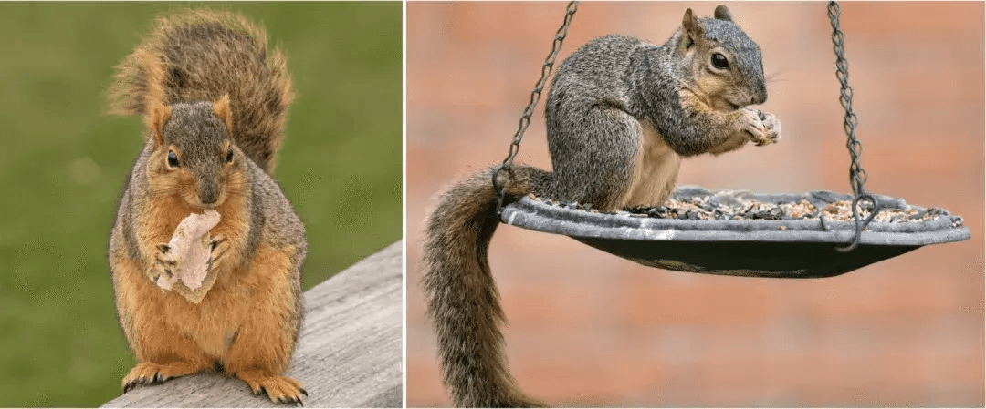 自动驾驶算力之争，背后的生死抉择